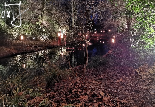 Mittelalterlicher Weihnachtsmarkt 2018